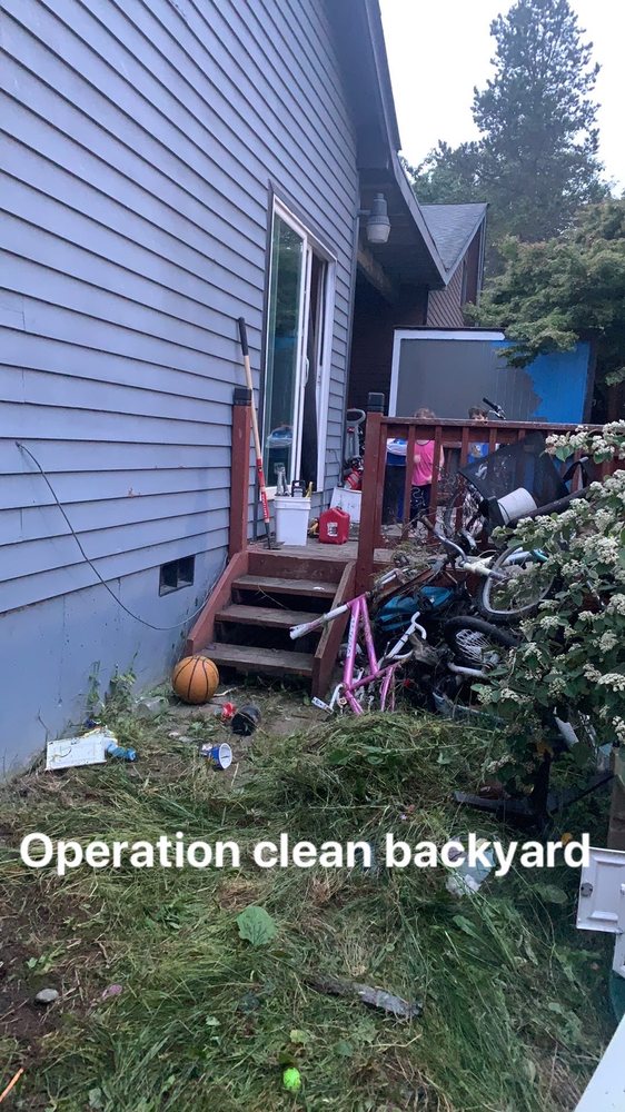 Backyard cleanup project in progress